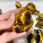 16-pieces-high-quality-tiger-eye-snails-carving-wholesale-crystals-609328.jpg